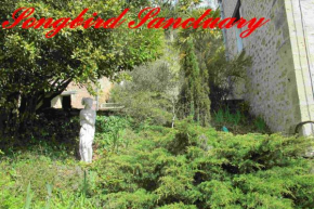 Songbird Sanctuary